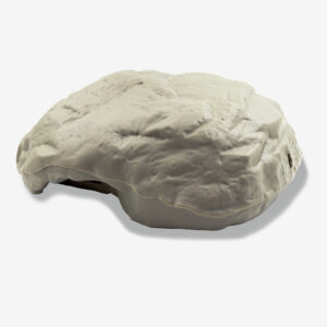 Erogatore A Forma Di Pietra