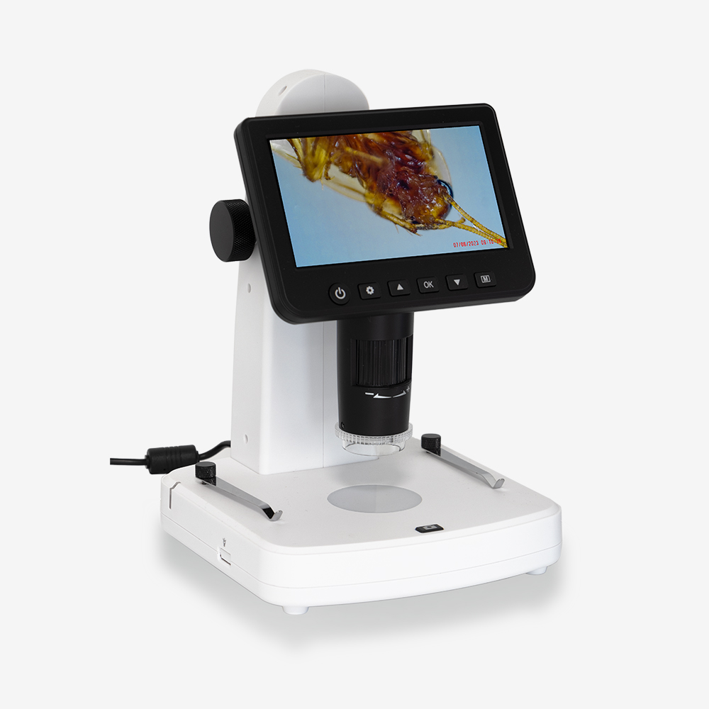 Microscopio Digitale