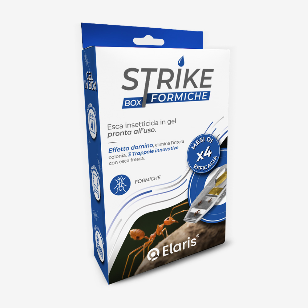 Strike Box Formiche®